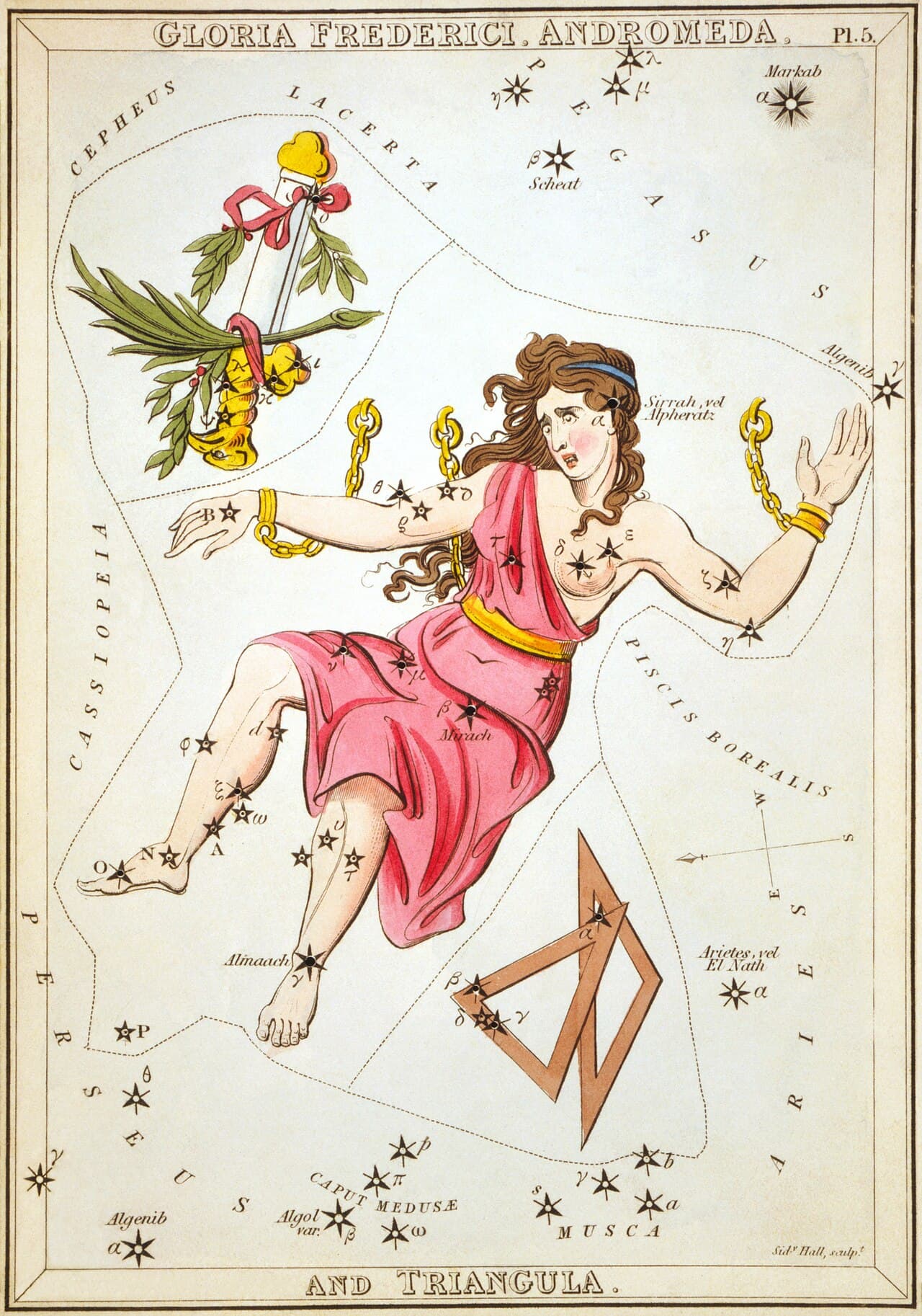 Andromeda — the Chained Princess