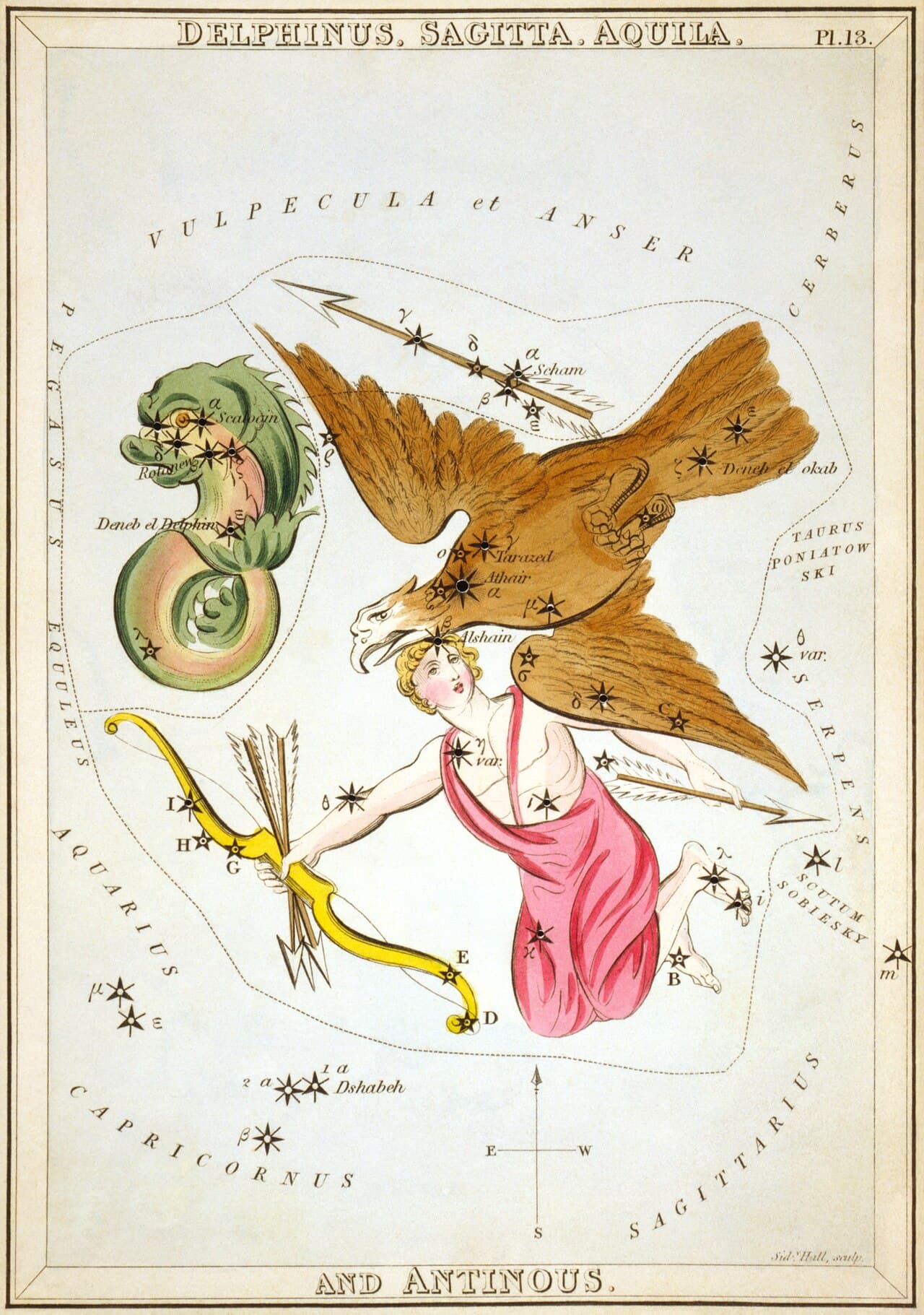 Aquila & Delphinus — the Eagle and the Dolphin