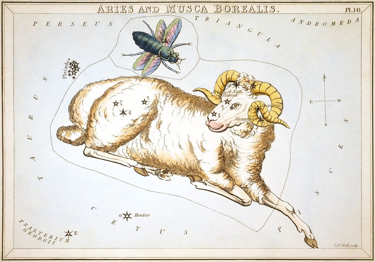 Aries — Urania's Mirror, plate 16