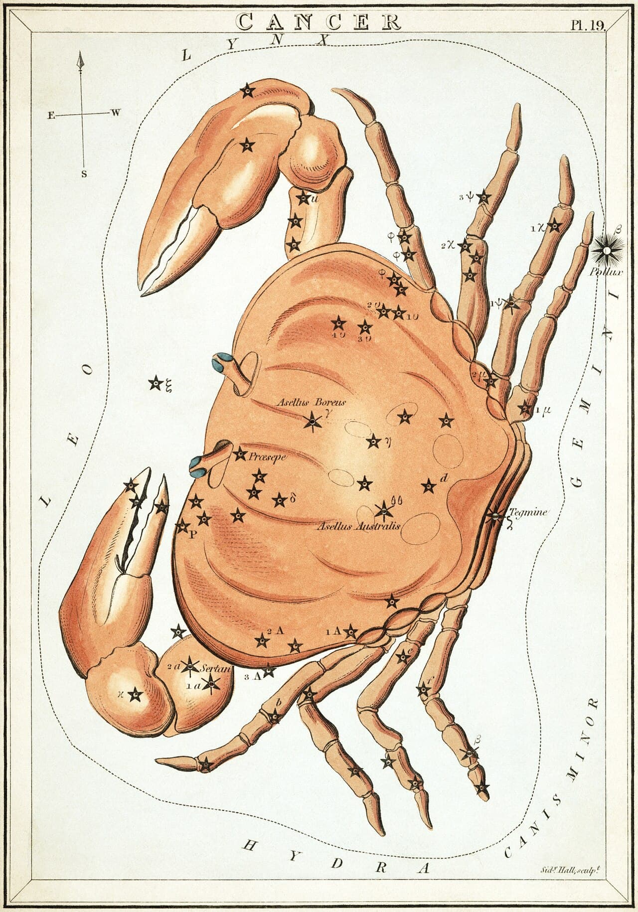 Cancer — the Crab