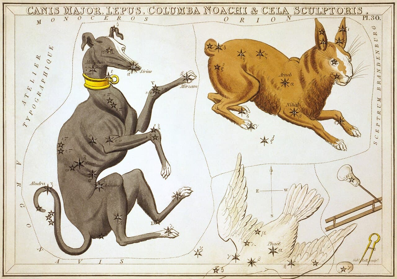 Canis Major — the Great Dog