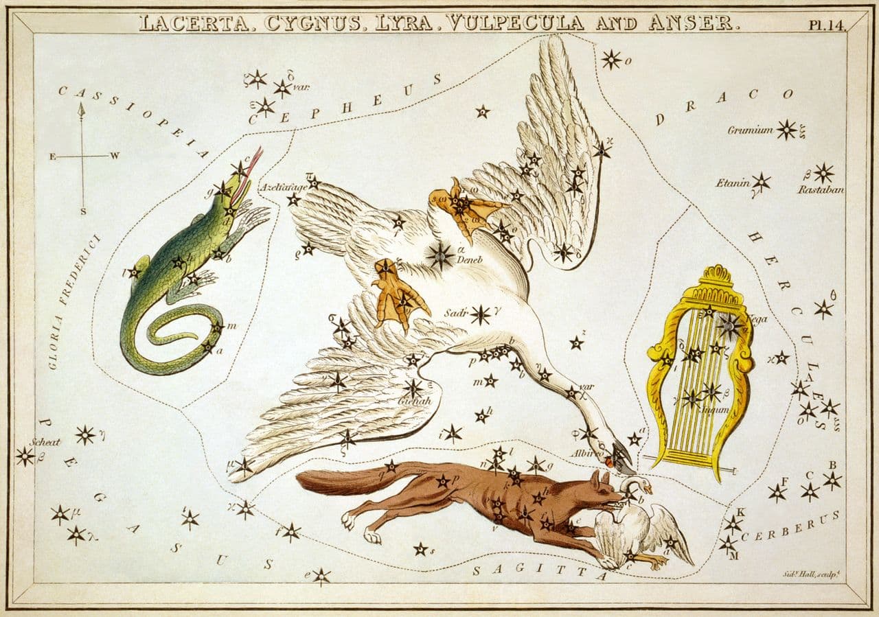 Cygnus, Lyra and companions — Urania's Mirror, plate 14