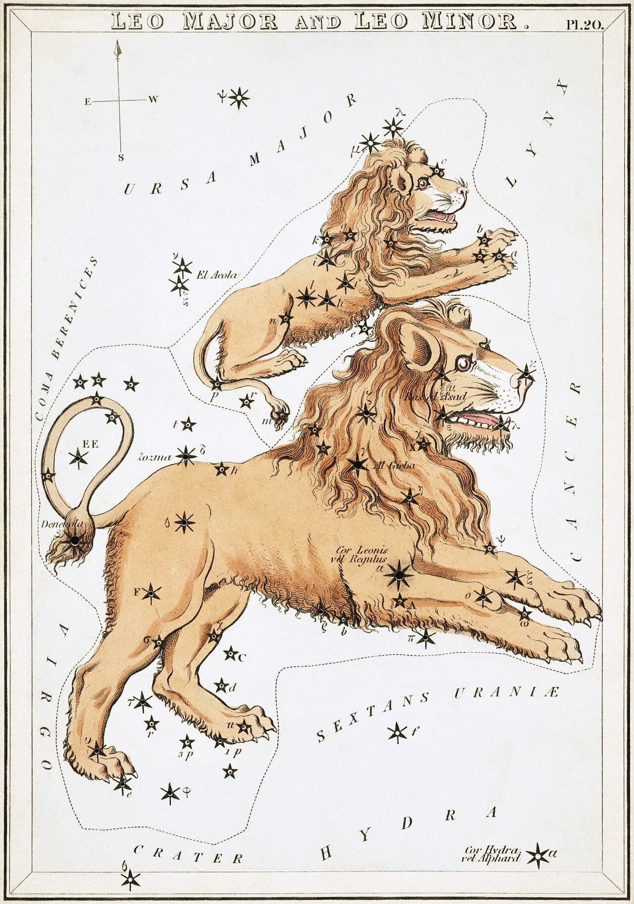 Leo — the Nemean Lion