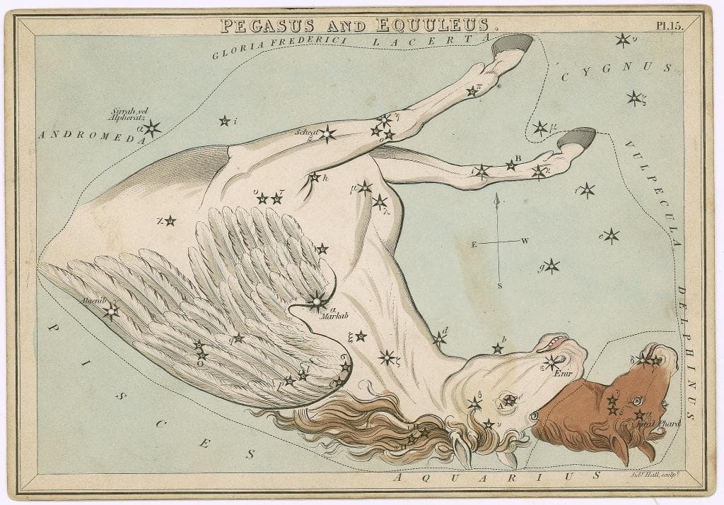 Pegasus — the Winged Horse