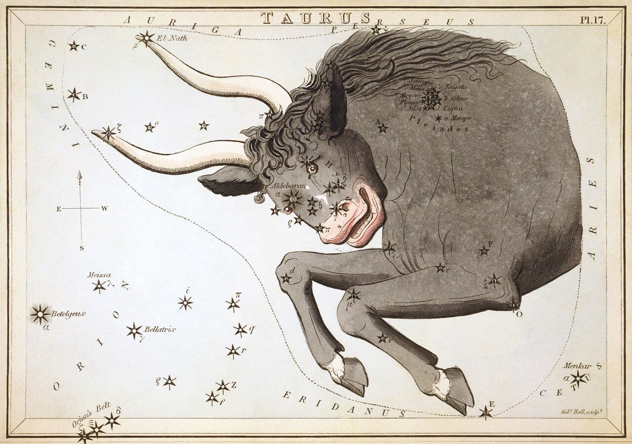 Taurus — the Bull